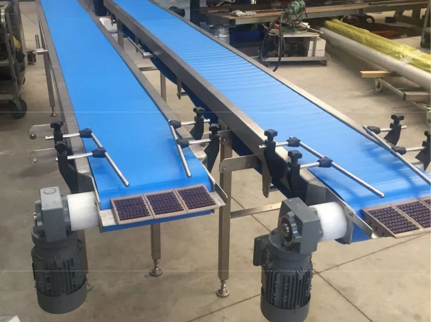 Snaitary-Conveyors-2